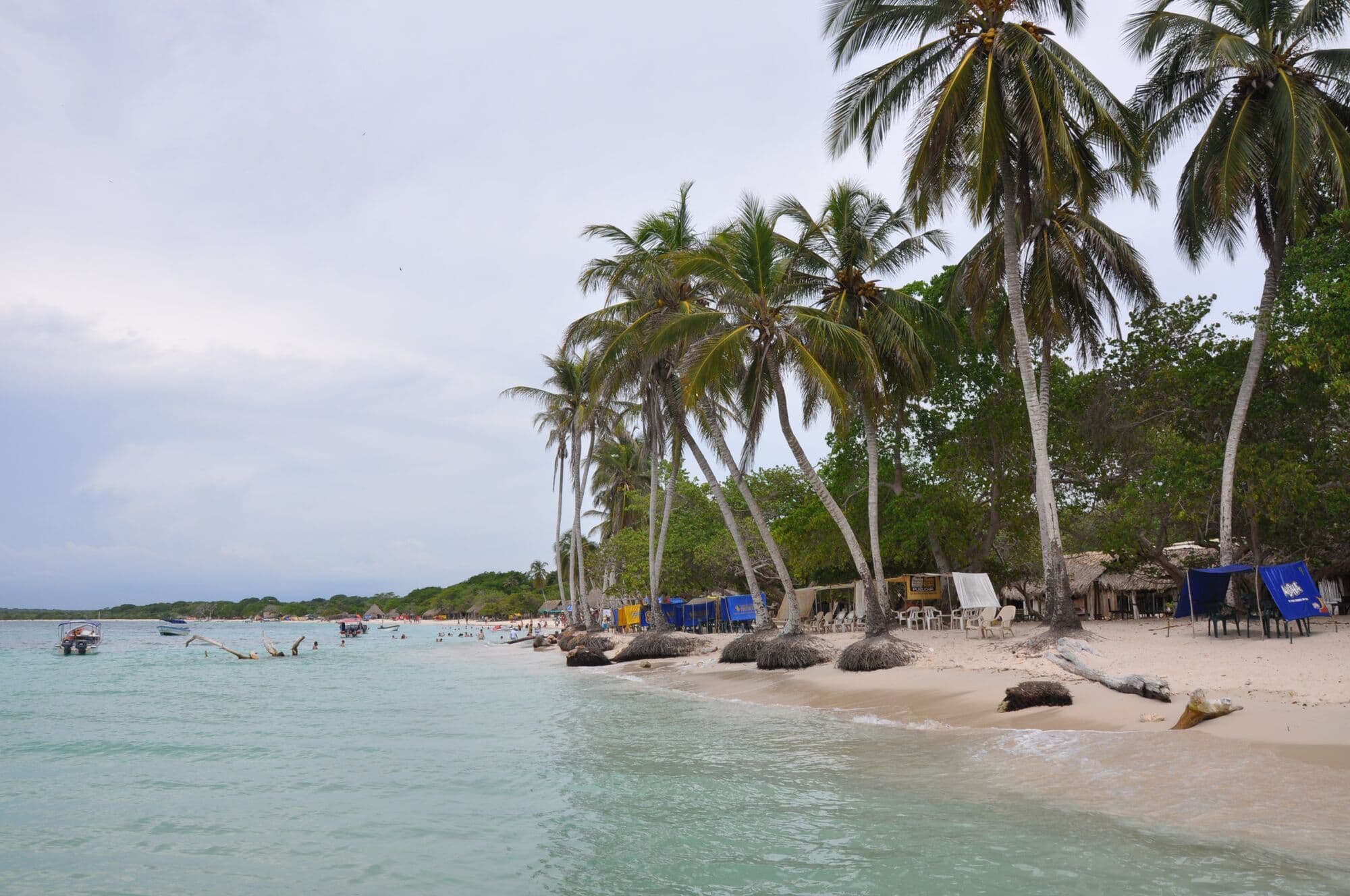Coconut palms leaning over the clear water of Playa Blanca